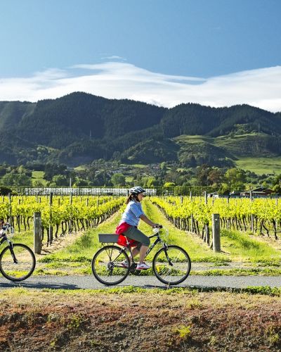 Enchanting Travels New Zealand Tours Nelson