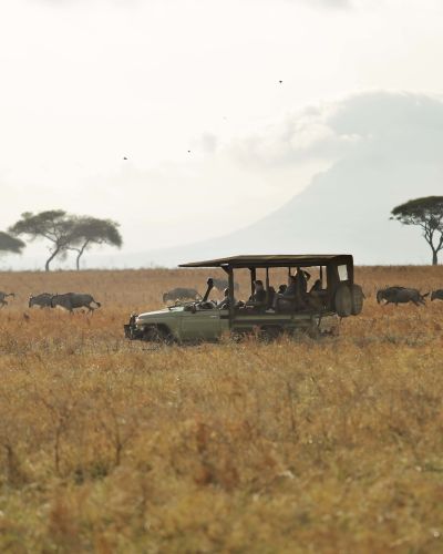 Tanzania - Tarangire