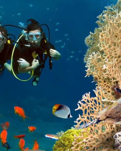 Maldives Scuba Diving Activity