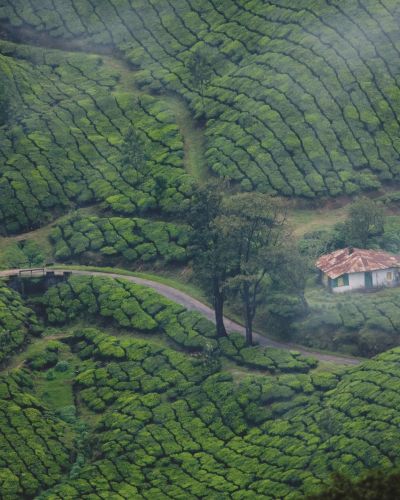 Kerala: Temples, Traditions and Beach