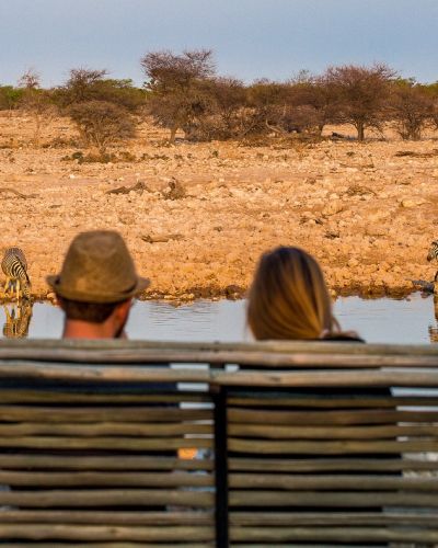 wildlife safari in Namibia