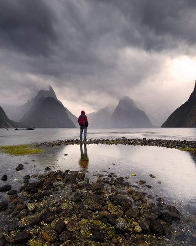 Risk taker Milford sound