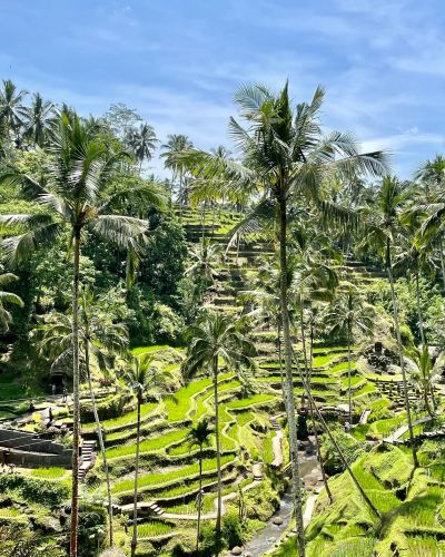 Indonesien: Kultur & Natur auf Java, Borneo und Bali