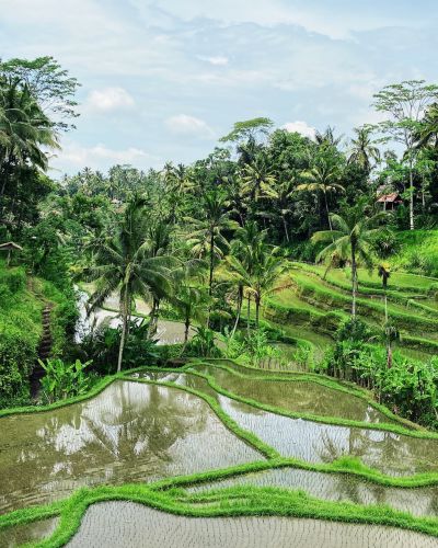 Singapore and Bali: Coasts and Cultures