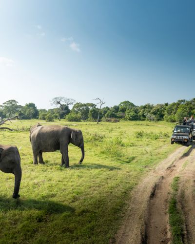 Sri Lanka Sehenswürdigkeiten