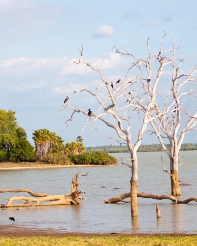 Tansanias wilder Süden und Inselauszeit auf Sansibar
