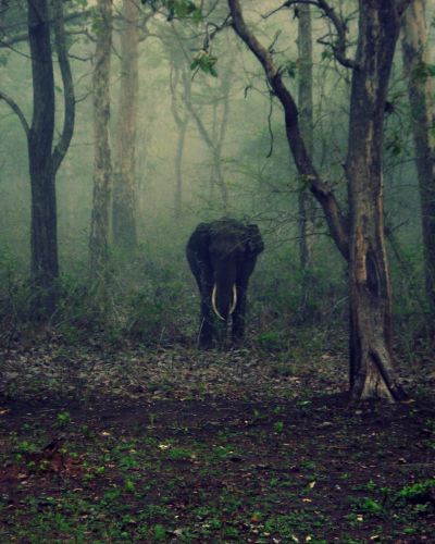 Karnataka Explored: Heritage and Landscapes