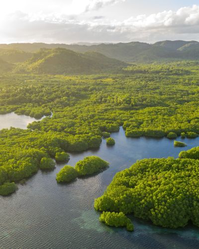 Aerial Drone view of the Anavilhanas archipelago Brazil