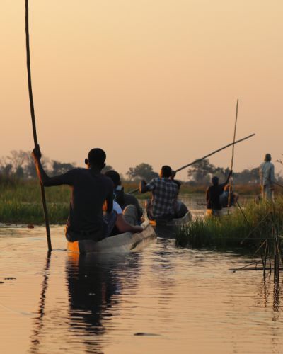 Danke Livingstone Stanley Webinar Juni 2025