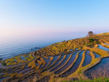 Cycling in Japan