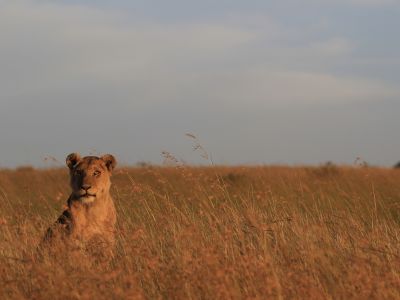 Kenya & Tanzania Adventure