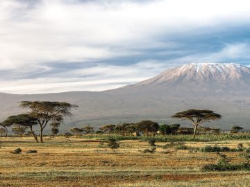 Climb Kilimanjaro Treks