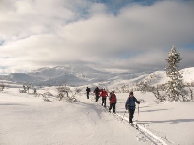 Cross-country Skiing: Kvitavatn