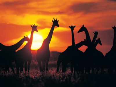 Johannesburg to Cape Town