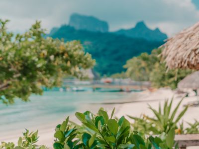 Free Luau for Hawaii tours