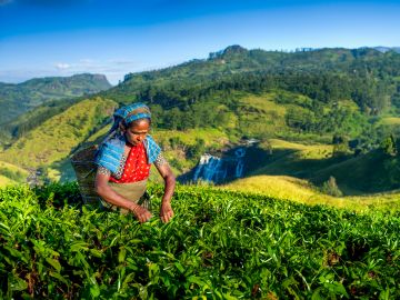 Discover Sri Lanka