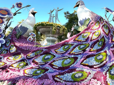 Rose Parade & Los Angeles Tour – December 2025 Departure