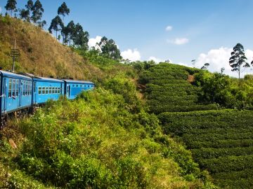 Train to Bandarawela