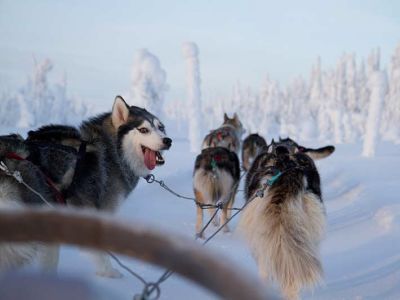 Finnish Winter Adventure Family Holiday