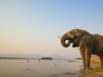 Zambezi River