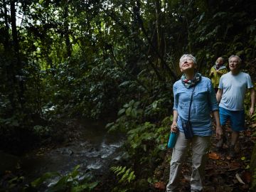 Discover Costa Rica