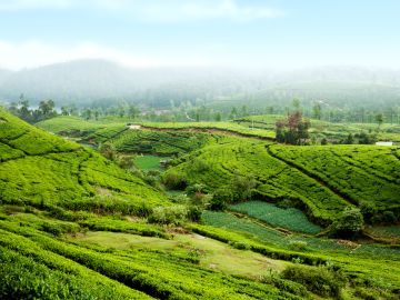 Hike Sri Lanka’s Pekoe Trail
