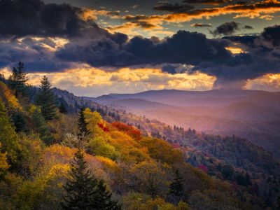 Know Your Destination – Autumn Leaves Tour