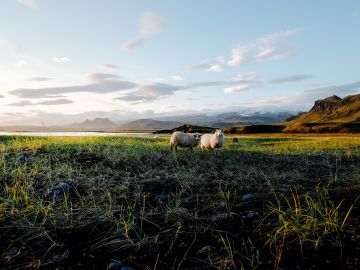 Iceland in the summer