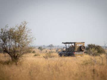 Kruger Safari Highlights – Premium Adventure