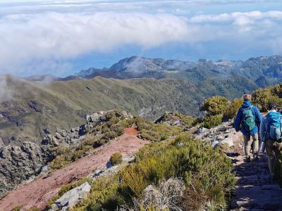 Walking Holidays In Madeira Madeira Walking Holidays Exodus Walking Holidays In Madeira Madeira Walking Holidays Exodus