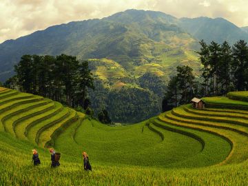 Sustainability