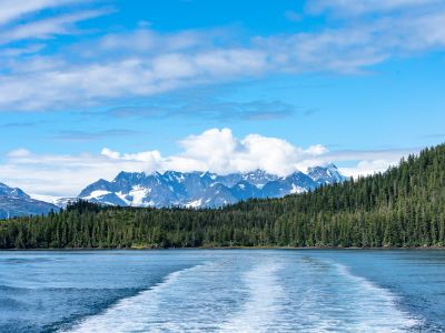 Majestic Alaska Cruise & Tour