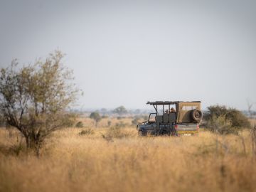 Kruger Safari Highlights – Premium Adventure