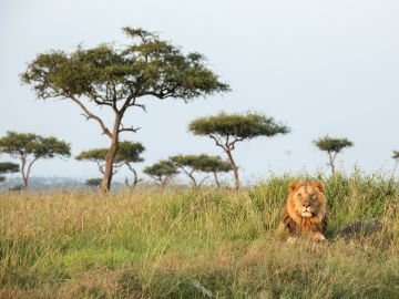 tanzania-serengeti