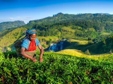 Discover Sri Lanka