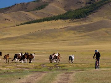 Cycling in Mongolia