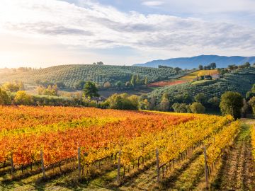 Rome, Assisi & Magical Umbria – Premium Adventure