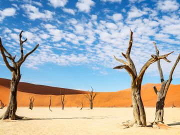 Namib-Naukluft National Park