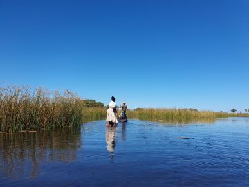 Southern Africa: Cape, Delta & Falls