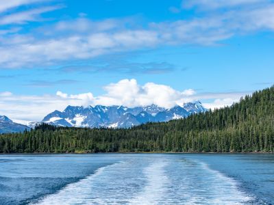 Travel Deals