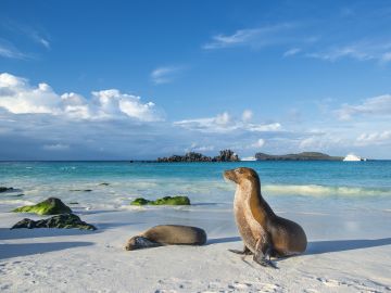 Island Hopping in the Galapagos