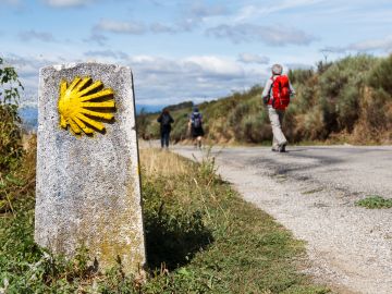 Camino de Santiago Trek