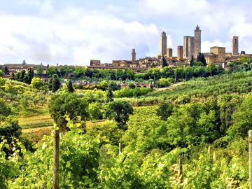 Fabulous Chianti Tuscany