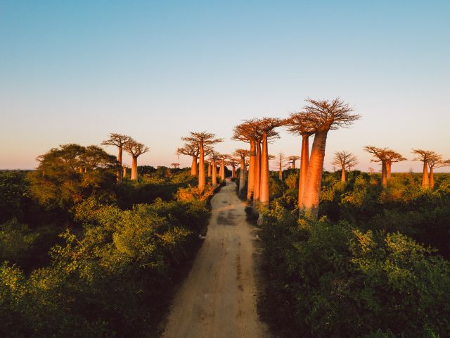 Where to Travel in June