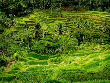 Cycling Indonesia’s Islands