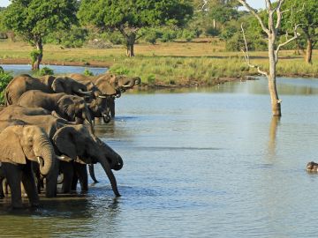 Southern Africa Safari: Kruger & Coast