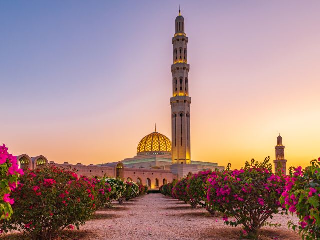 Where to Travel in February