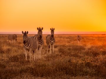 Discover Namibia – Camping