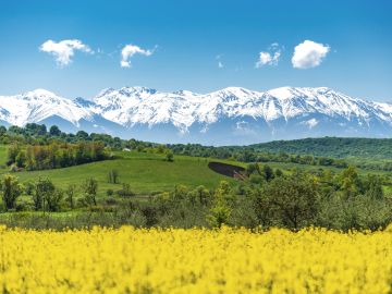 Carpathian Mountains