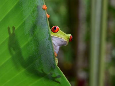Costa Rica Adventure Family Holiday